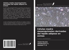 Células madre mesenquimales derivadas del tejido adiposo en ovinos - Beulah, Violet; S., Ushakumary; T. A., Kannan