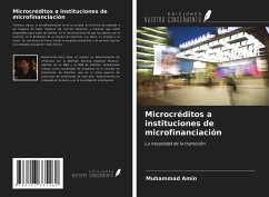 Microcréditos a instituciones de microfinanciación - Amin, Muhammad