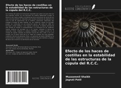 Efecto de los haces de costillas en la estabilidad de las estructuras de la cúpula del R.C.C. - Shaikh, Muzzammil; Patil, Jagruti