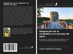 Adaptación de la ciudadela a la escasez de agua - Tedonfack Sedrique, Zoyem