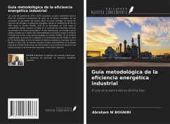 Guía metodológica de la eficiencia energética industrial - Bognini, Abraham W