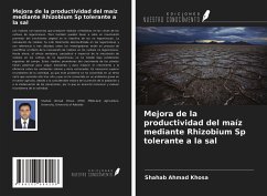 Mejora de la productividad del maíz mediante Rhizobium Sp tolerante a la sal - Ahmad Khosa, Shahab