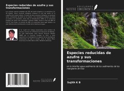 Especies reducidas de azufre y sus transformaciones - K B, Sujith