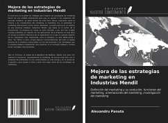 Mejora de las estrategias de marketing en Industrias Mendil - Panuta, Alexandru