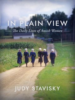 In Plain View - Stavisky, Judy