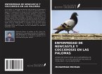 ENFERMEDAD DE NEWCASTLE Y COCCIDIOSIS EN LAS PALOMAS