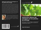 Utilización óptima del nitrógeno en las plantas de lechuga