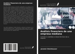 Análisis financiero de una empresa mediana - Steinhauser, Jaromír