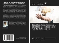 Estudios de reducción de pérdidas eléctricas en la red de distribución - Salamatnia, Elham