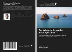 Parachanna insignis, Sauvage 1884 - Vangu, Léon