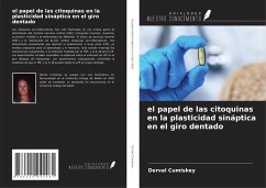 el papel de las citoquinas en la plasticidad sináptica en el giro dentado - Cumiskey, Derval