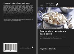 Producción de setas a bajo coste - Olufunke, Koyenikan