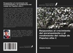 Respuestas al crecimiento del enraizamiento y al rendimiento del rodaje de Populus alba C - Kindie, Bekele