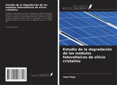 Estudio de la degradación de los módulos fotovoltaicos de silicio cristalino - Faye, Issa