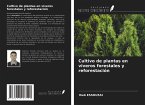 Cultivo de plantas en viveros forestales y reforestación