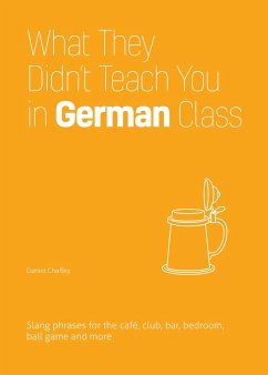 What They Didn't Teach You in German Class - Chaffey, Daniel