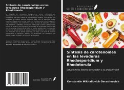 Síntesis de carotenoides en las levaduras Rhodosporidium y Rhodotorula - Gerasimovich, Konstantin Mikhailovich
