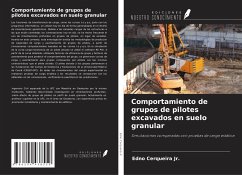 Comportamiento de grupos de pilotes excavados en suelo granular - Cerqueira Jr., Edno