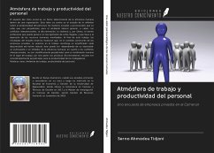 Atmósfera de trabajo y productividad del personal - Ahmadou Tidjani, Serno