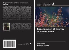 Regeneration of liver by ocimum canum - Dash, Alok; Mishra, Jhansee