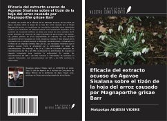 Eficacia del extracto acuoso de Agavae Sisalana sobre el tizón de la hoja del arroz causado por Magnaporthe grisae Barr - Adjessi Videke, Mokpokpo