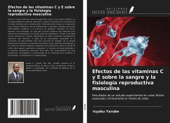 Efectos de las vitaminas C y E sobre la sangre y la fisiología reproductiva masculina - Yarube, Isyaku