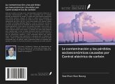 La contaminación y las pérdidas socioeconómicas causadas por Central eléctrica de carbón
