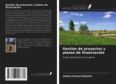 Gestión de proyectos y planes de financiación