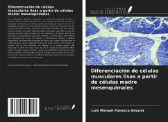 Cover Diferenciación de células musculares lisas a partir de células madre mesenquimales