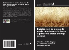 Fabricación de pieles de oveja de alto rendimiento a partir de pieles de baja calidad - Wolde Zegeye, Wondimu; Rathinam, R. Aravindan; Yimam, Abubeker