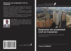 Empresas de propiedad civil en Camerún - Fankam, Franck