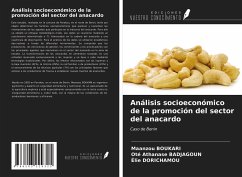 Análisis socioeconómico de la promoción del sector del anacardo - Boukari, Maanzou; Badjagoun, Oté Athanase; Dorichamou, Élie