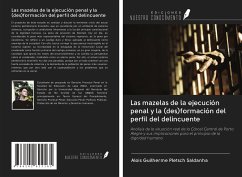 Las mazelas de la ejecución penal y la (des)formación del perfil del delincuente - Pletsch Saldanha, Alois Guilherme