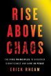 Rise above Chaos - Bild 1
