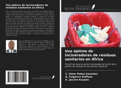 Uso óptimo de incineradores de residuos sanitarios en África - Kamelan, C. Omer Pokou; Ouffoue, A. Fulgence; Kouami, K. Jasvire