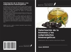 Valorización de la biomasa y los subproductos bioenergéticos - Berrim, Imen