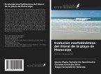 Evolución morfodinámica del litoral de la playa de Maracaípe