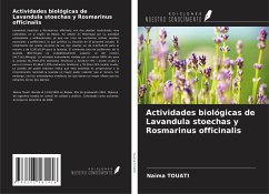 Actividades biológicas de Lavandula stoechas y Rosmarinus officinalis - Touati, Naima