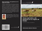 Zonas agrícolas y de pastoreo en la región de Zinder