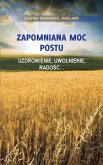 Zapomniana Moc Postu