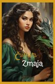 Cuvari zmaja (eBook, ePUB) Cuvari zmaja (eBook, ePUB)