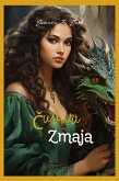 Cuvari zmaja (eBook, ePUB)