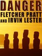 Danger (eBook, ePUB) - Bild 1