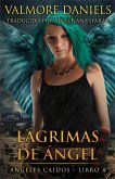 Lágrimas de Ángel (eBook, ePUB)