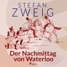 Der Nachmittag von Waterloo... - Bild 1