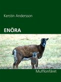 ENÖRA (eBook, ePUB)