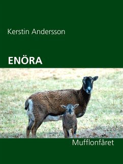 ENÖRA (eBook, ePUB) - Andersson, Kerstin