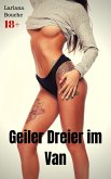 Geiler Dreier im Van (eBook, ePUB)