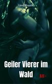 Geiler Vierer im Wald (eBook, ePUB)