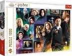 Harry Potter (Puzzle) Harry Potter (Puzzle)